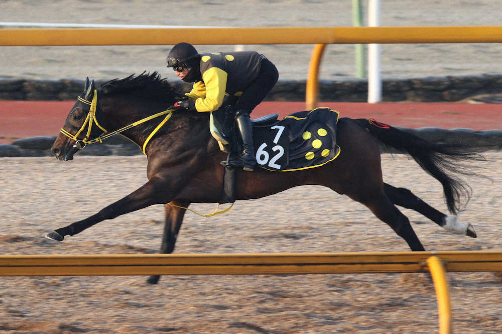 【京成杯】テンバガー、馬なりも力強くラスト12秒5　藤岡師「仕上がりはいいですよ」