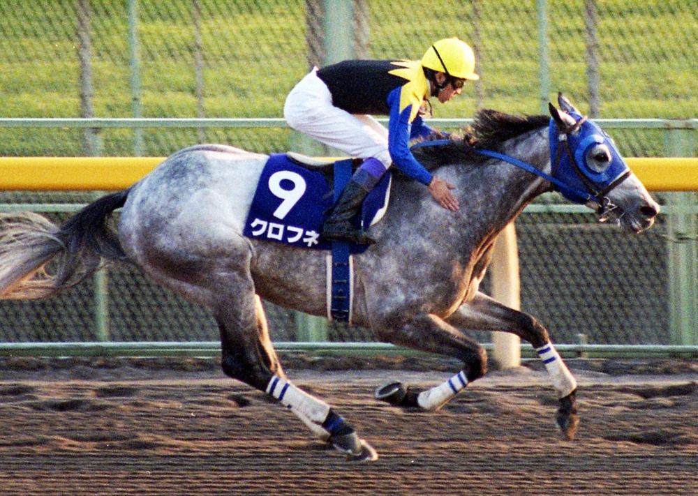 2001年のジャパンCダートを制した武豊騎乗のクロフネ