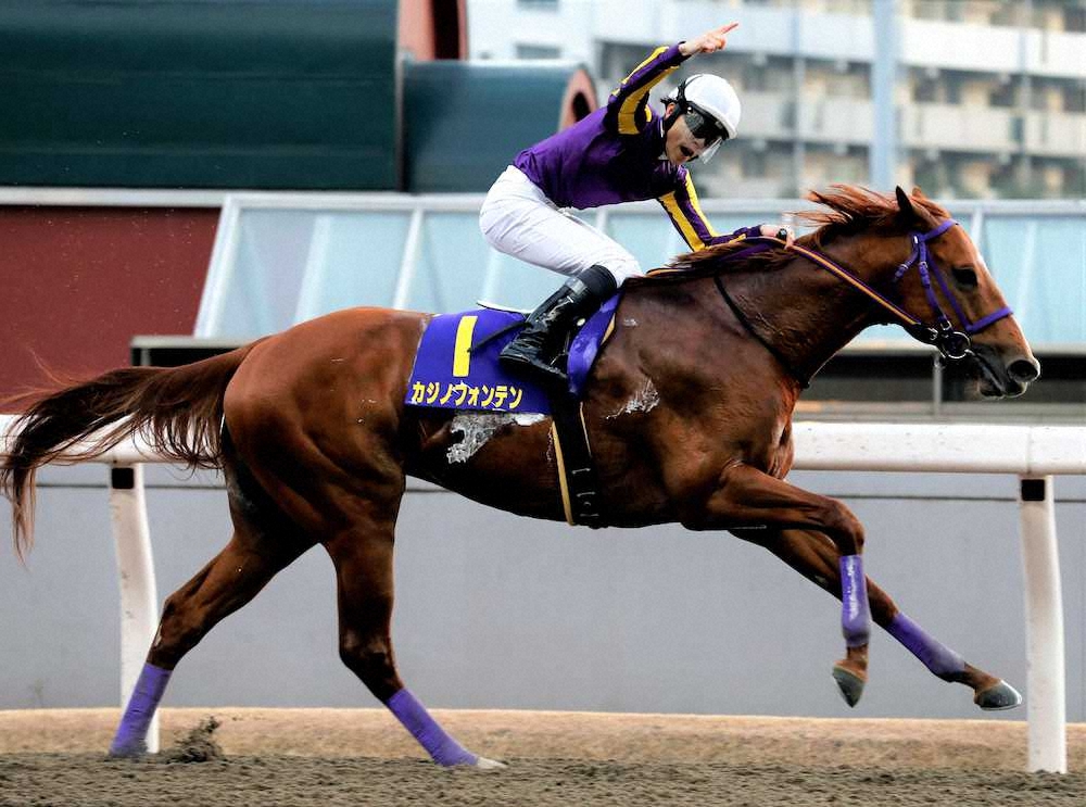 【川崎記念】カジノフォンテン、10年ぶり地方馬V！3馬身差の圧勝