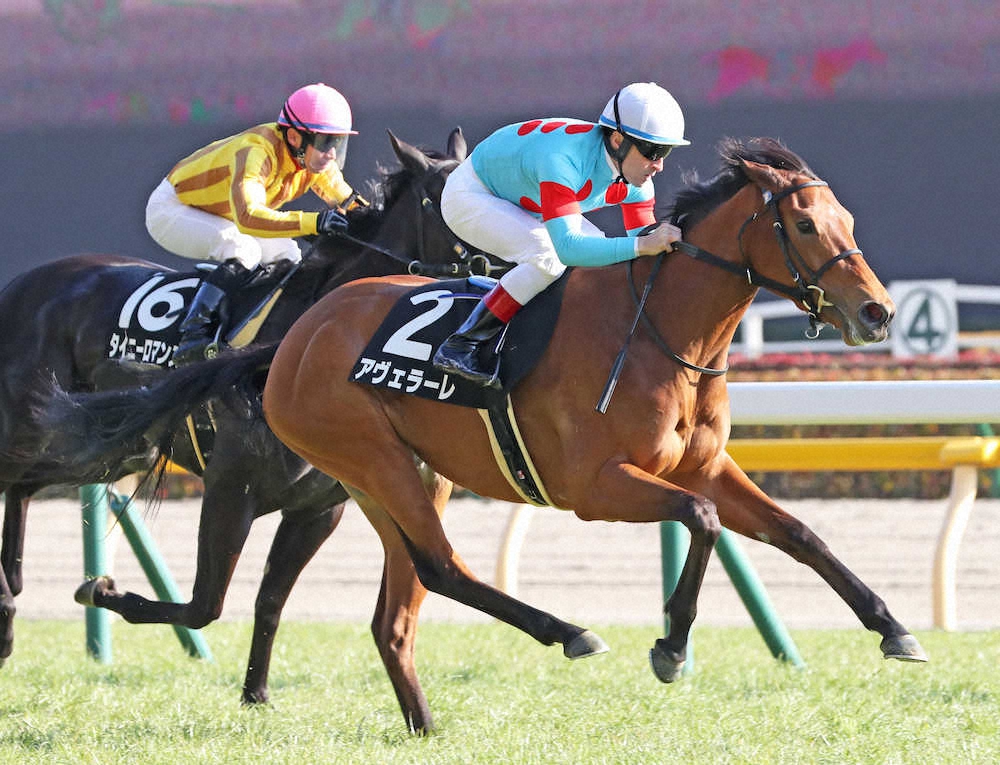 【東京9R・春菜賞】アヴェラーレが無傷2連勝　ルメール絶賛「絶対に重賞を獲れる馬」