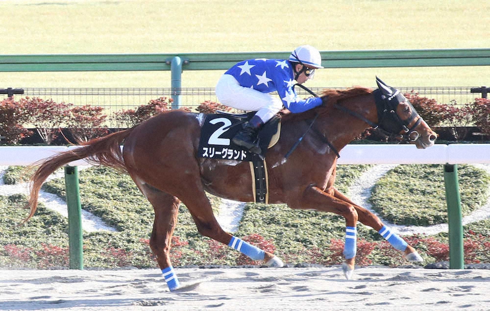 【バレンタインS】スリーグランド逃走V!高橋義師は初騎乗の戸崎を“称賛”