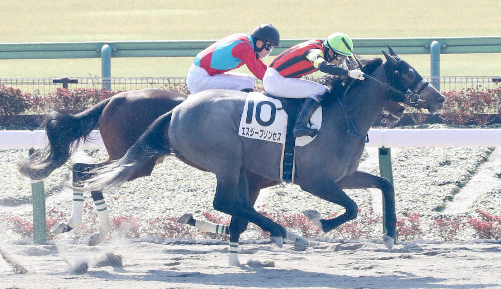 【東京新馬戦】エスジープリンセス　競り合い首差制す！和田勇師「当面はダートで使うつもり」