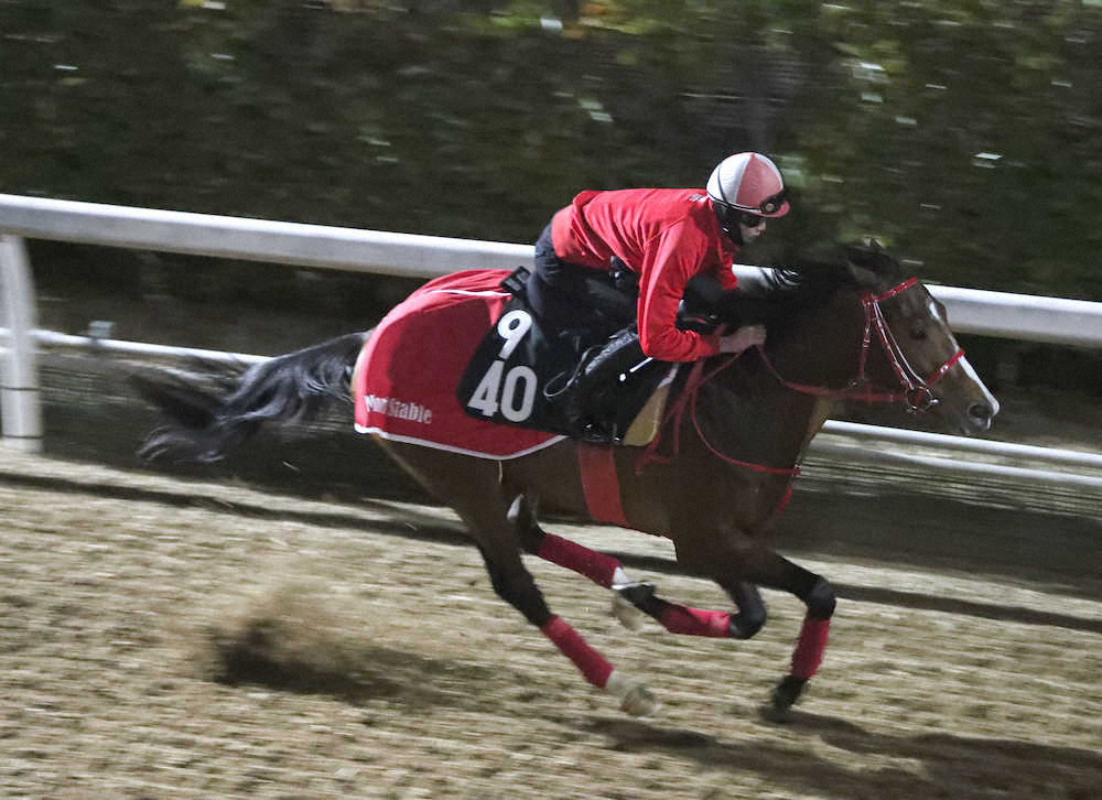 【サウジダービー】戸崎騎乗の日本馬ピンクカメハメハ、前々の競馬で押し切ってV　森厩舎連覇