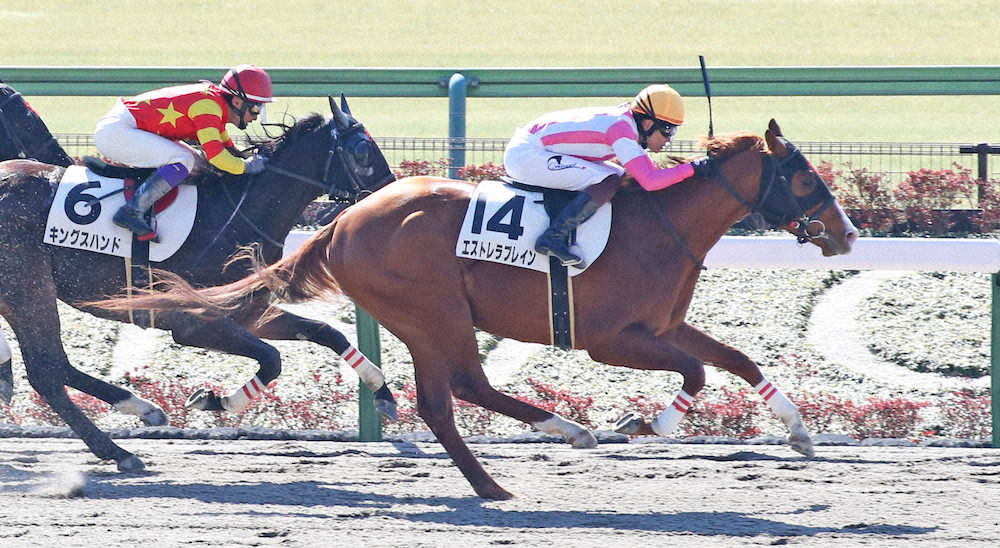 【東京新馬戦】エストレラブレイン初陣V！田村厩舎、29年ぶり1、2、3着独占「想像していなかった」