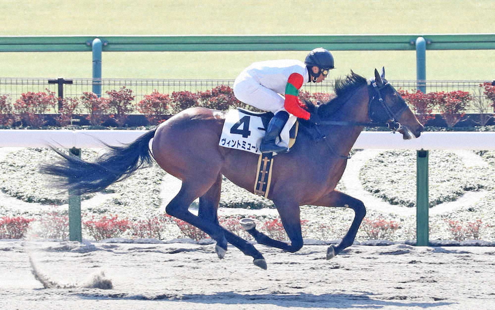【東京新馬戦】ヴィントミューレが5馬身差V　北村宏「安定して走ってくれた」