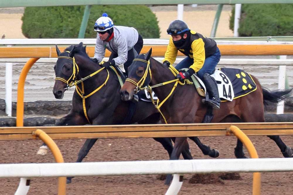 【弥生賞】今年複勝率3位ミルコ　テンバガーに皐月賞切符贈る「楽しみな馬」