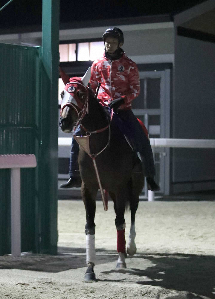 【ドバイシーマC】ラヴズオンリーユー動き抜群！新コンビ・マーフィー「全てが良かった。雰囲気もいい」