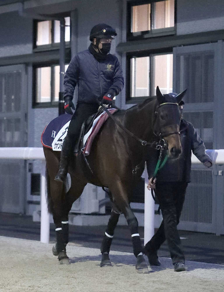 【ドバイターフ】ヴァンドギャルド状態良好！北村友「力むところもなく、とてもリラックスしている」