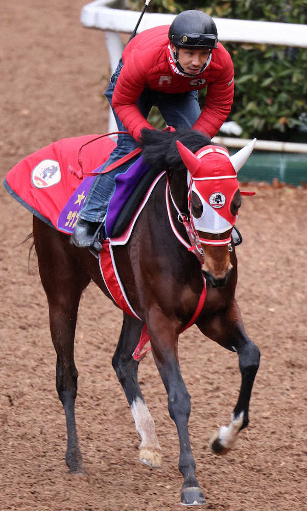 【ドバイシーマC】ラヴズオンリーユー　鞍上マーフィー自信「とてもいい状態キープしている」