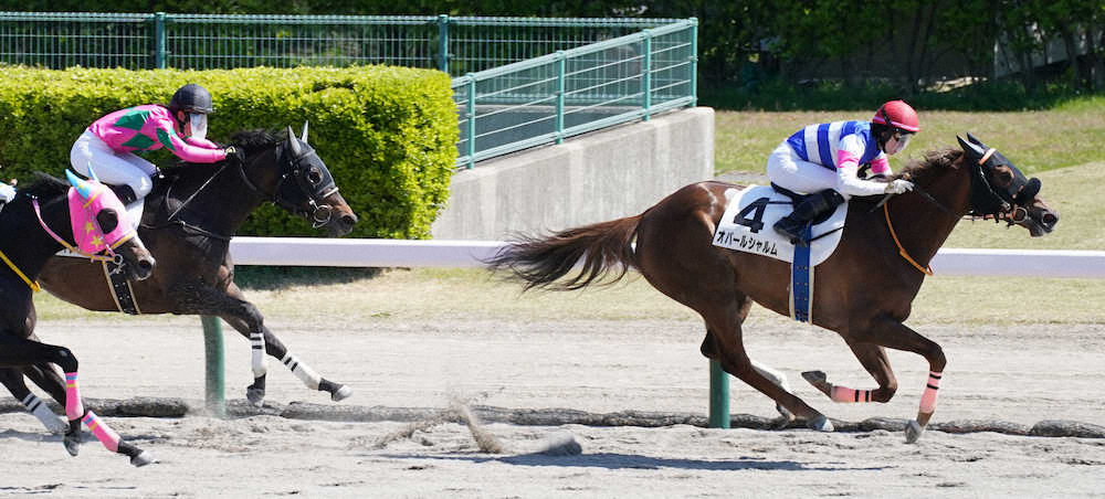 新潟7レースを制した藤田騎乗のオパールシャルム（右）と2着の永島騎乗のランランウイング（撮影・郡司　修）