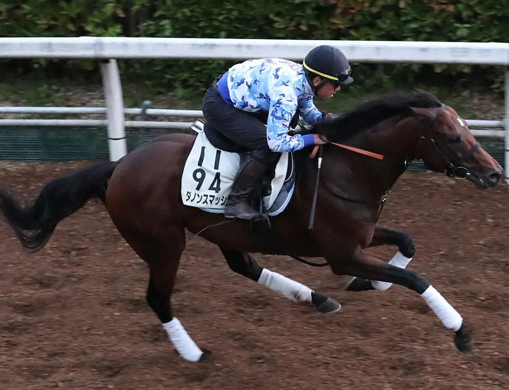 【QE2世C】「馬場適正より距離適性」中距離なら日本馬最強