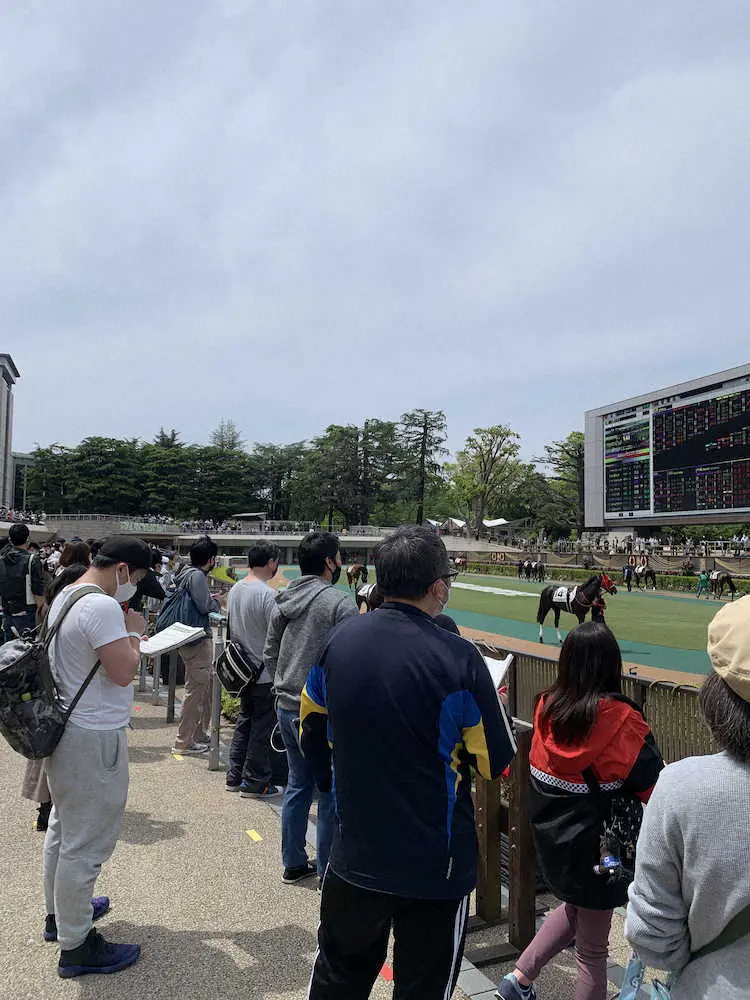 東京競馬場の有観客開催1日で終了　25日から無観客開催へ