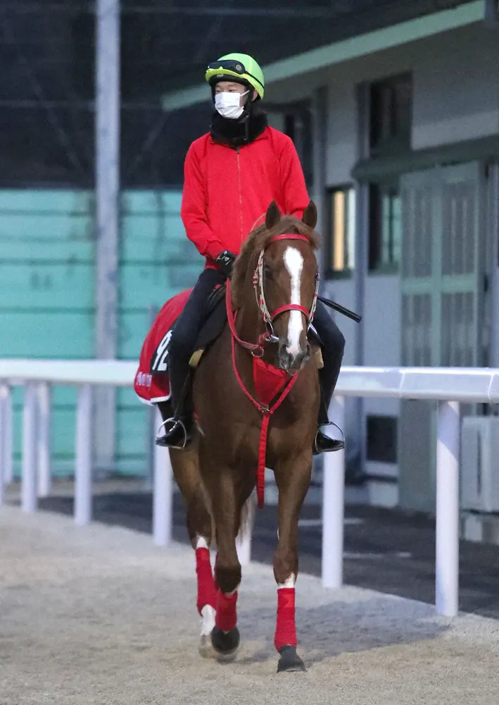 【プリークネスS】日本馬フランスゴデイナ決戦の地ピムリコ到着　ブックメーカーのオッズは8番人気