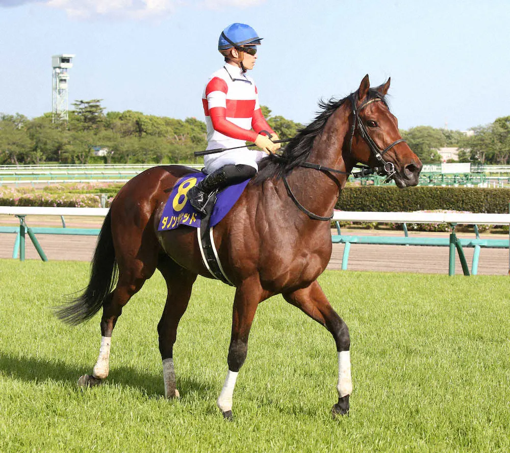 【日本ダービー】ダノンザキッドが骨折で回避　安田隆師「残念」「治るまで十分休ませたい」