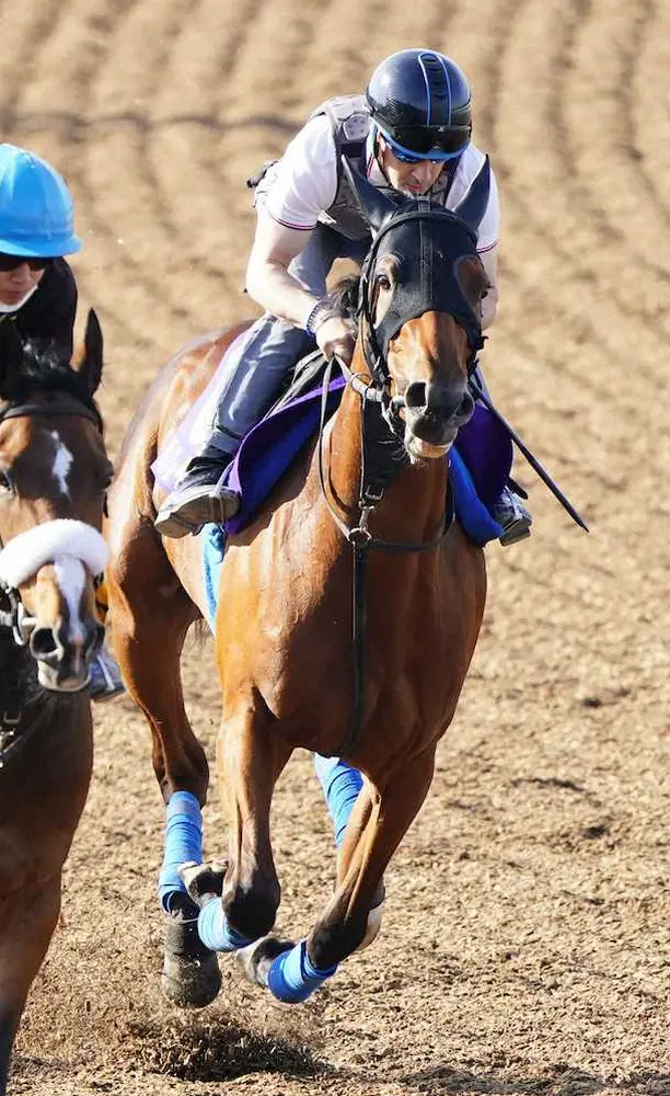【ダービー】サトノレイナス　牝馬14年ぶり制覇へ“ウオッカの道”たどる温存仕上げ