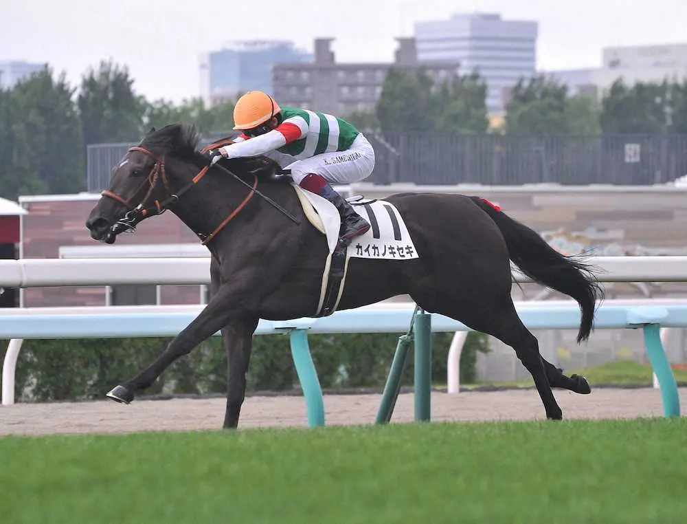 【札幌新馬戦】母はダート重賞勝ち馬　カイカノキセキが芝でレコード勝ち　鮫島駿「スピード十分」