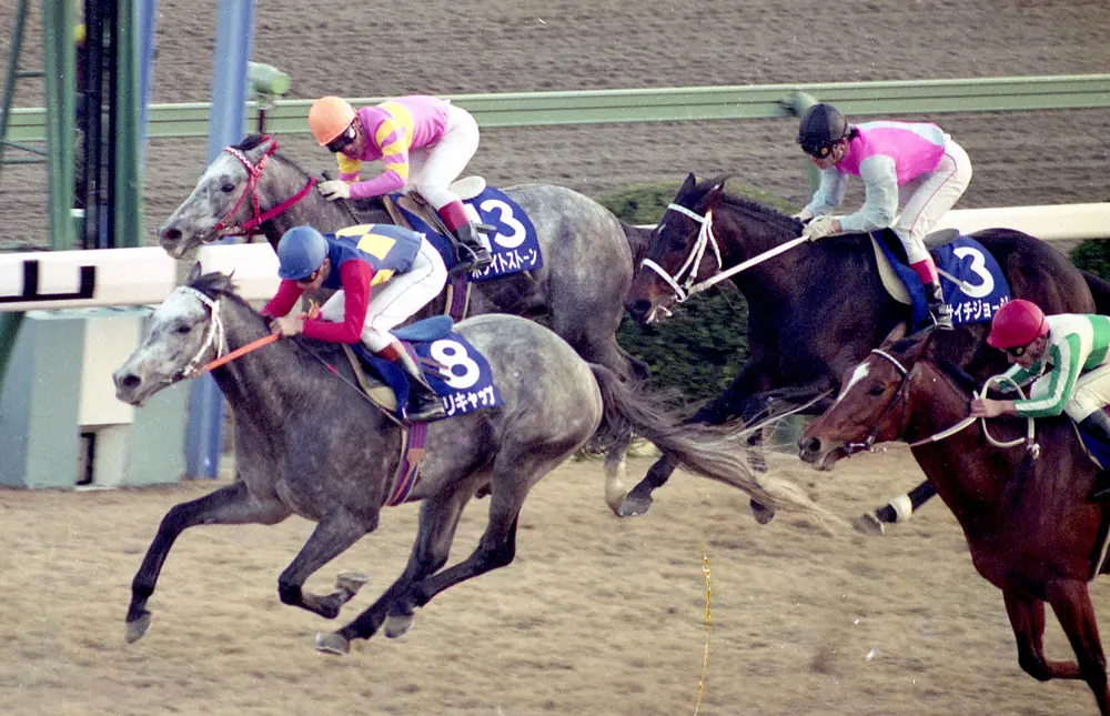 1990年、引退レースとなった第35回有馬記念を制したオグリキャップ（左手前）