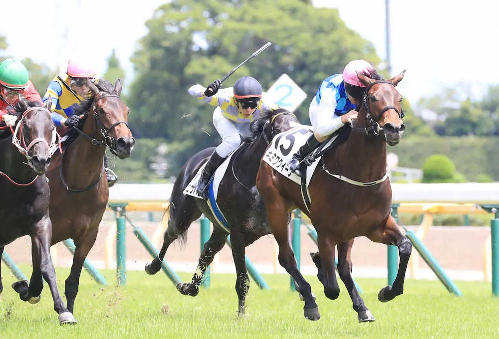 【東京新馬戦】キミワクイーン　圧巻の抜け出し　デムーロも絶賛「センスあります。競馬が上手」