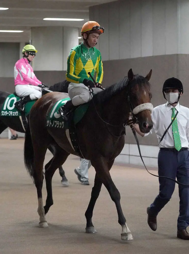 昨年の弥生賞覇者サトノフラッグ　右橈骨遠位端骨折で全治6カ月以上の見込み