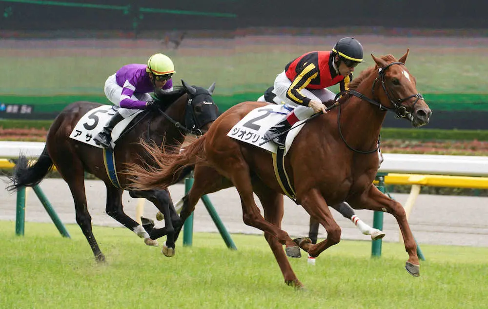 【東京新馬戦】ジオグリフ　直線抜け出して快勝、ルメール「センスがある」