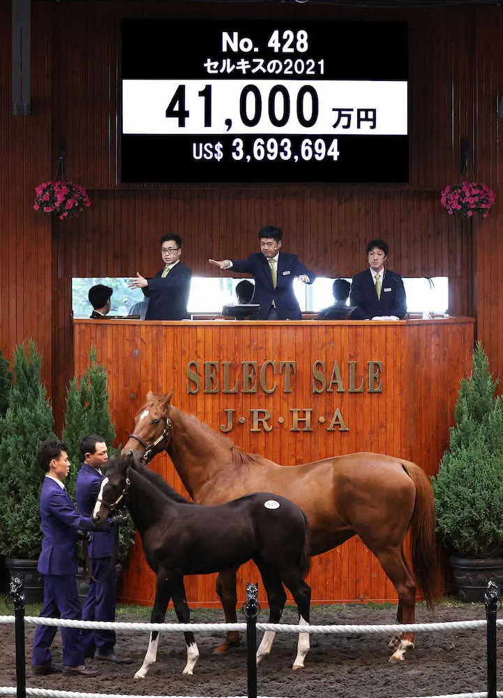 小笹氏　キズナ産駒「セルキスの2021」を4億1000万円！この日の最高額落札「この馬と決めていた」