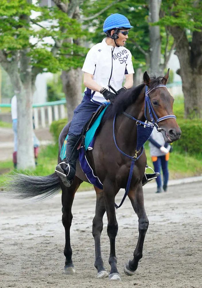 【新潟新馬戦】“優等生”ウェストファリア　非凡なセンス、軽快ディープ牝馬