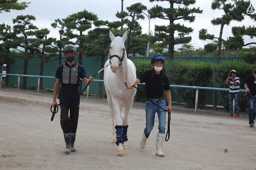 22日に函館競馬場に到着した今年の桜花賞馬ソダシと担当の今浪厩務員（右）