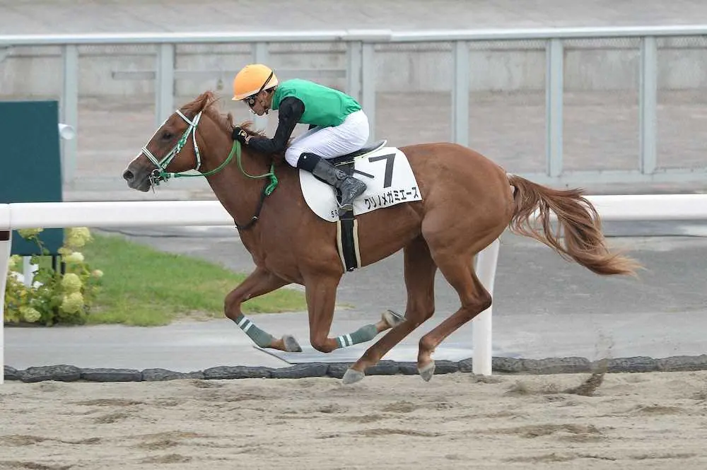 【札幌新馬戦】クリノメガミエース　8馬身差圧勝、本間師「適性はダート」