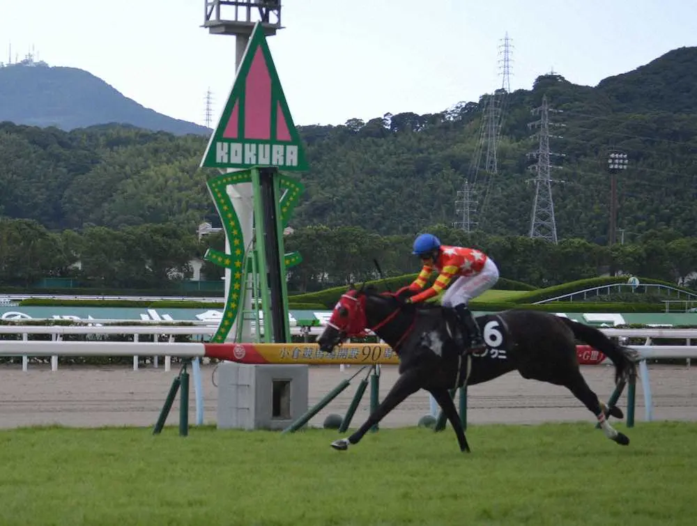 【ひまわり賞】ヒノクニ　OP特別で初勝利、本田土寿牧場生産馬が4連覇