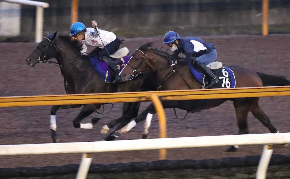 ＜神戸新聞杯1週前追い＞福永を背にCウッドをダノンドリーマー（右）と併せ馬で追い切るシャフリヤール