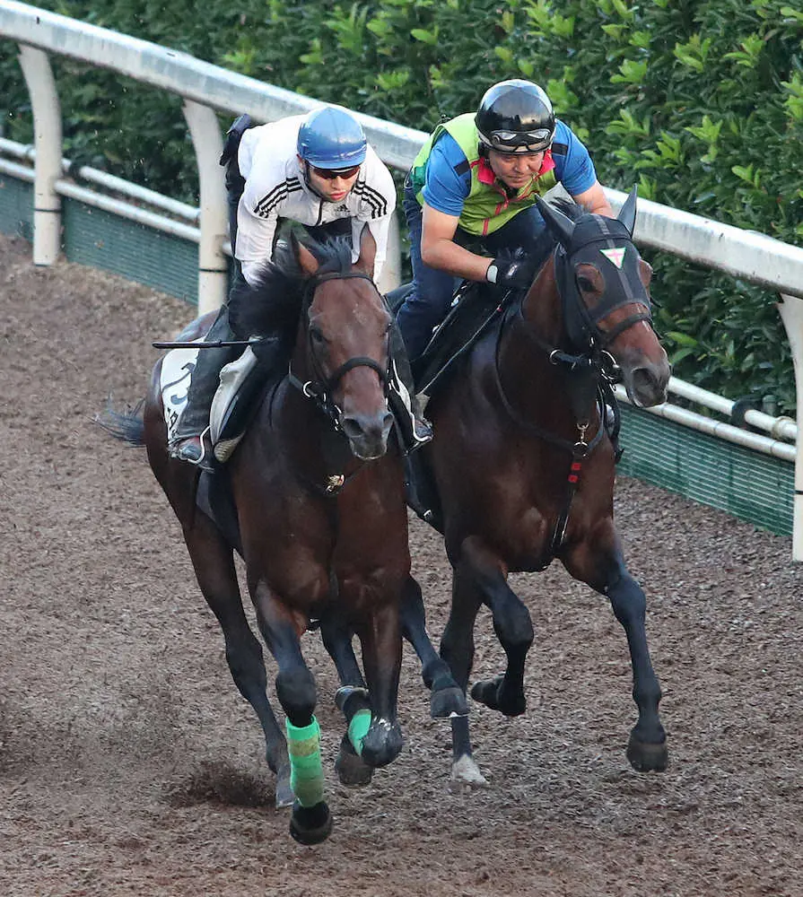 ＜神戸新聞杯＞坂路でアールスター（左）と併せ馬で追い切るイクスプロージョン
