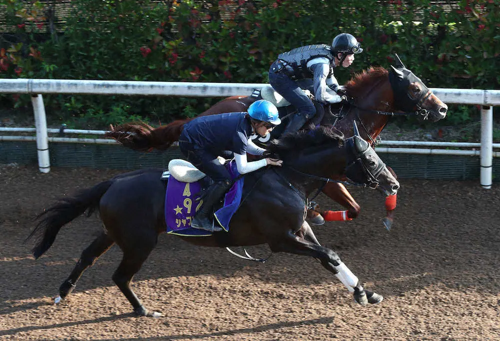 【神戸新聞杯】シャフリヤール　進化の坂路4F自己新51秒2、ダービー馬が夏越えパワーUP