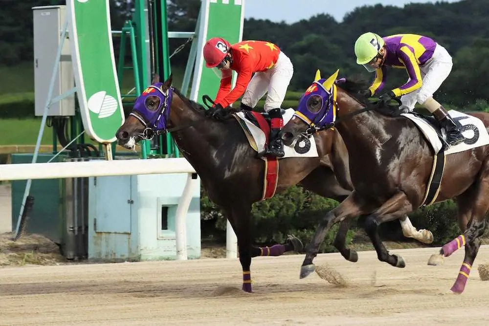 【佐賀・九州ジュニアチャンピオン】3日発走　名馬への登竜門レース　有力馬を紹介