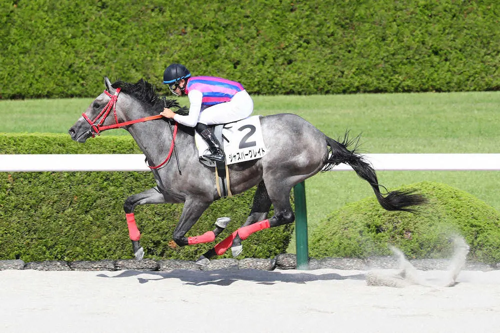 【阪神新馬戦】ジャスパーグレイト　10馬身差圧勝、アロゲート産駒初勝利