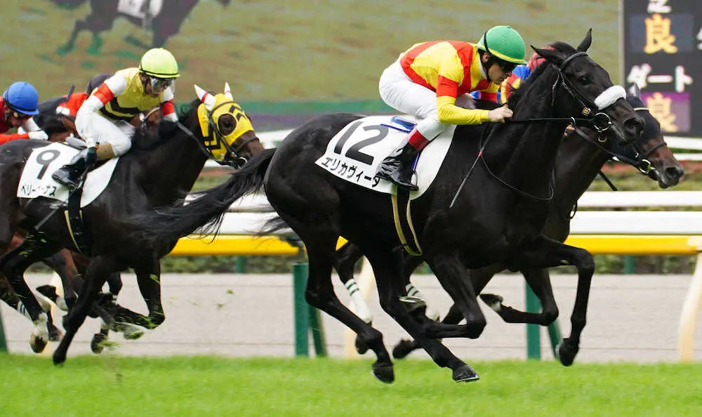 【東京新馬戦】素質馬エリカヴィータ　1番人気に応えた　ルメール「能力があるし真面目」
