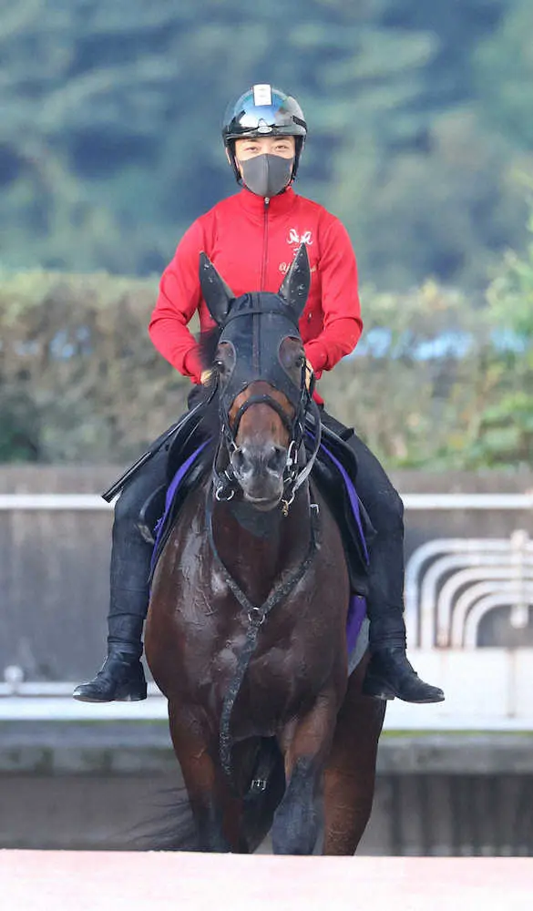 【菊花賞】レッドジェネシスが来る　神戸新聞杯組が圧倒、ディープ産駒×馬体重Vゾーン