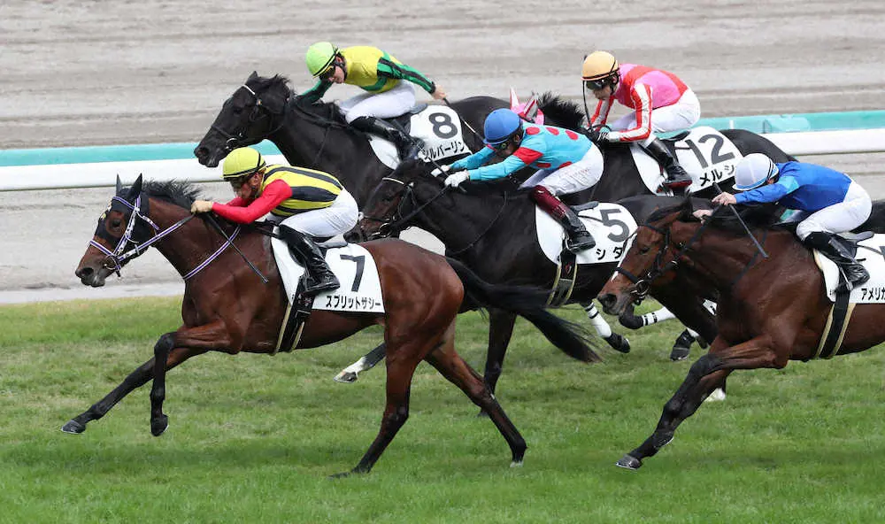 【阪神4R新馬戦】スプリットザシーV　川田「とても背中がいい馬です」