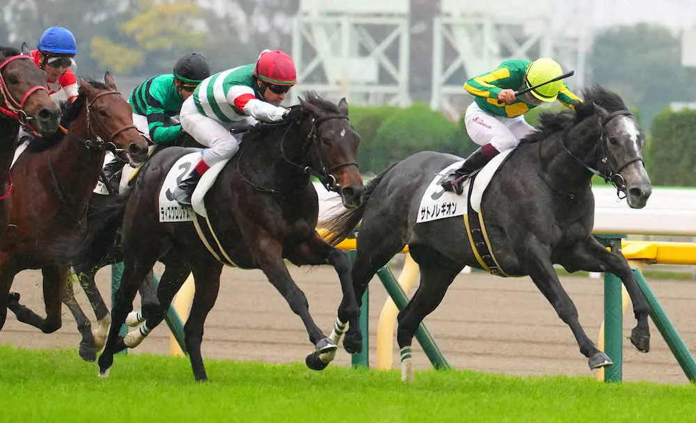 【東京新馬戦】ティズグロリアスがV　ルメール「走りが凄く軽かった」
