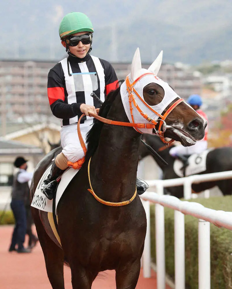 【阪神新馬戦】カレンマックナイトV　松若「いい走りをしてくれました」