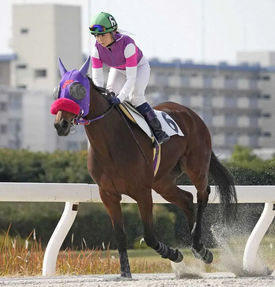 名古屋競馬の宮下瞳　国内女性騎手初の通算1000勝「ほっとした」