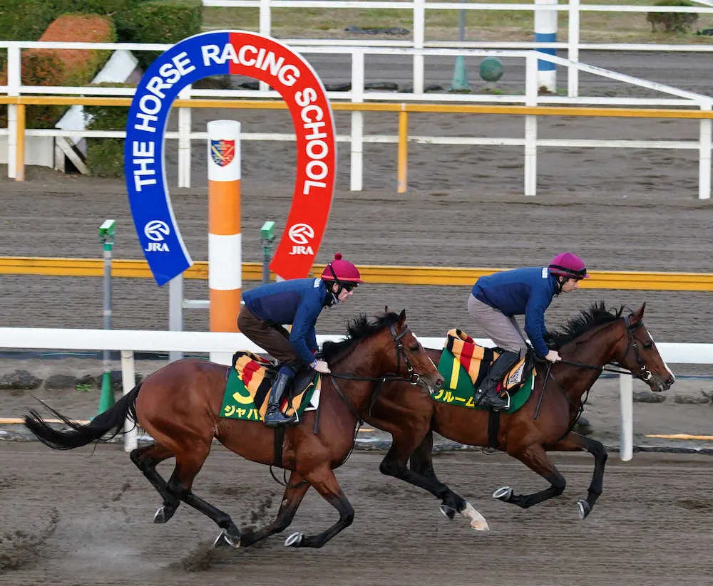 【ジャパンC】ジャパン＆ブルーム　千葉県で調整中、追い切りは26日東京競馬場で予定