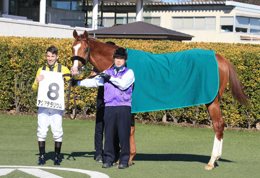 【中山新馬戦】アクアテラリウム　大接戦粘り切り！鹿戸師「まだ子供なので大人になってくれれば」