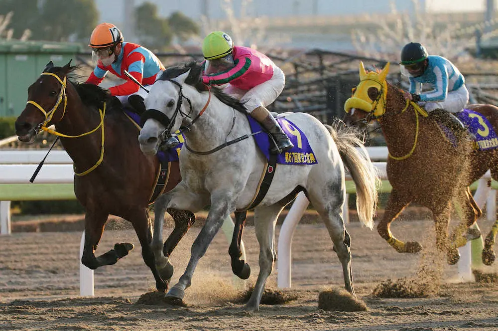 【画像・写真】【大井・東京大賞典】オメガパフューム　史上初の4連覇!鞍上ミルコは感慨深げ「あと10年乗りたかった」