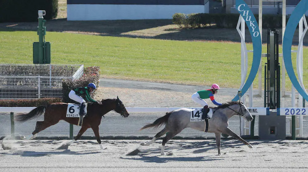 【画像・写真】【中京新馬戦】カネトシブルーム　抜け出し快勝、富田はJRA100勝「センスいい」