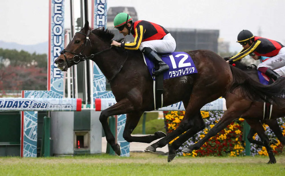 最優秀短距離馬はグランアレグリア　3年連続でJRA賞、藤沢和師「いいお母さんになってほしい」