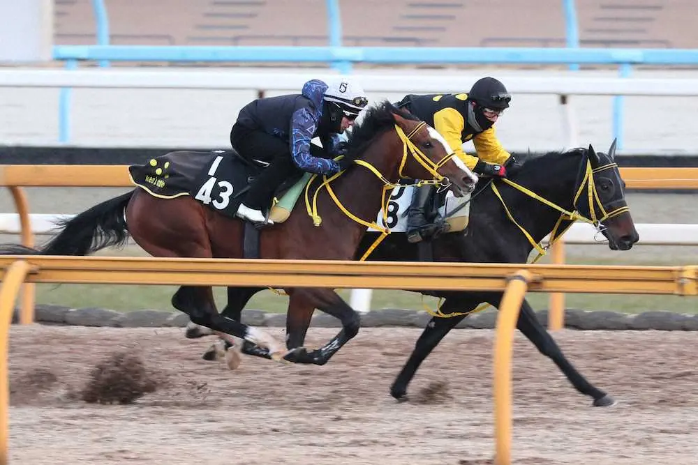 藤岡佑介が騎乗し、スパイラルノヴァ（右）と馬体を併せて追い切られたヴェールランス
