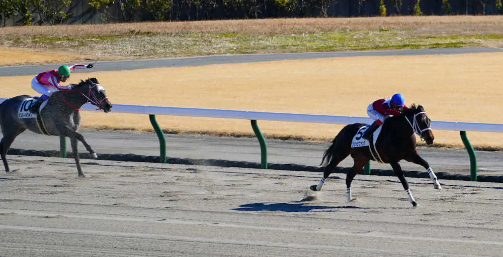 ＜中京3R・新馬戦＞G前100メートルで他馬を圧倒するブリッツファング（撮影・井垣　忠夫）