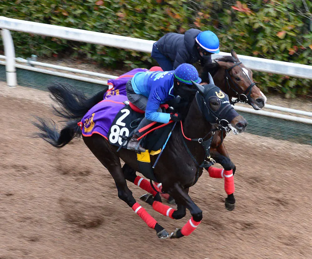 【中京9R・白梅賞】5番人気カワキタレブリーがV　松山「まだ成長できる馬だと思います」