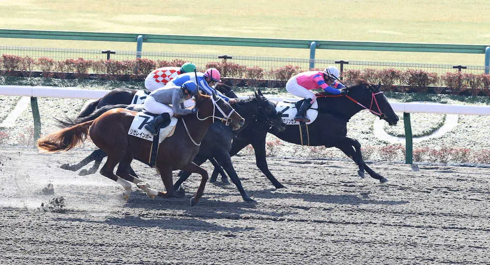 【東京新馬戦】ユキノプリンセスがV　川島「スムーズにスタート決め、番手で折り合いながら運べた」