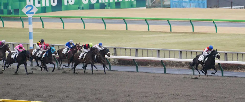 【東京4R新馬戦】4番人気のショウナンダール　6馬身差の圧勝デビュー　国枝師は「なかなかのもん」
